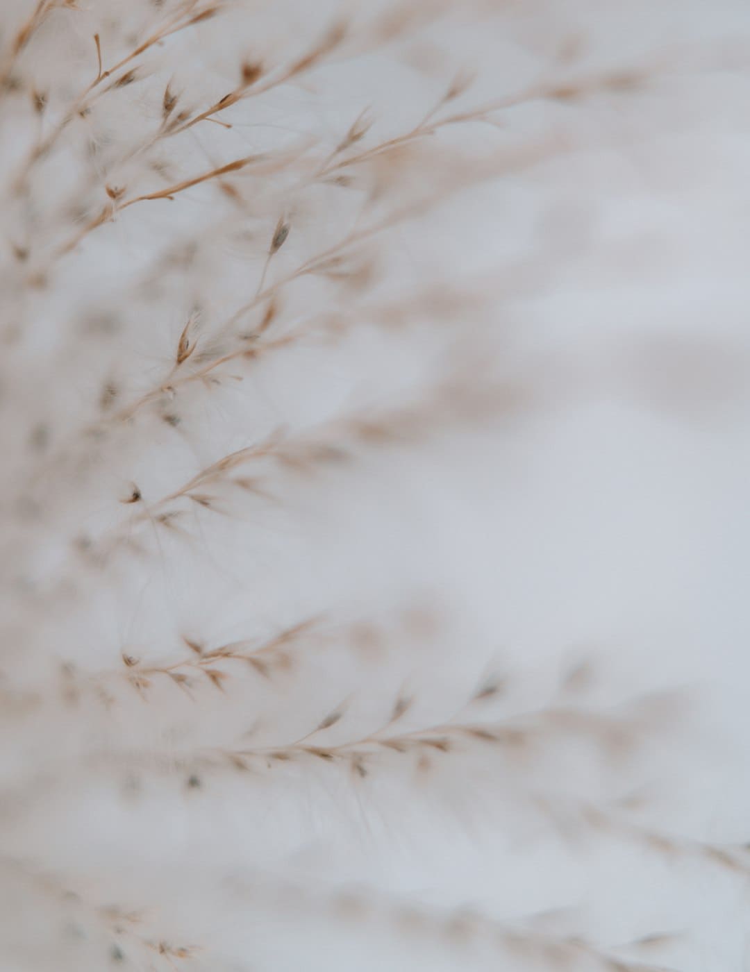 https://p3.img.cctvpic.com/photoworkspace/contentimg/2025/09/06/2025090609253635953.jpg